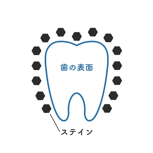 歯の表面